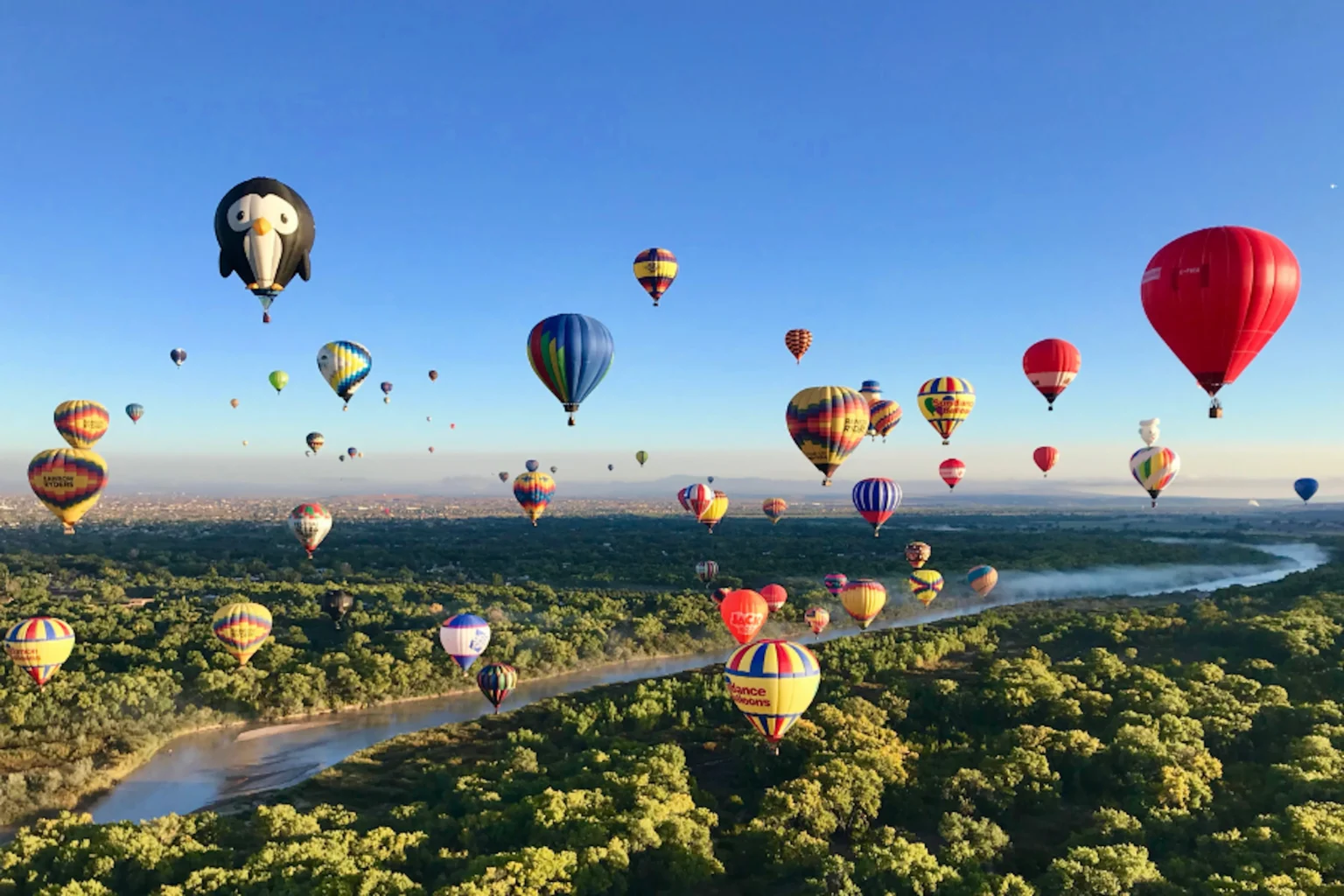 Albuquerque-hot-air-balloon-tours A large group of hot air balloons flying over Albuquerque, New Mexico.