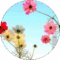 Cindy Derkowski Avatar