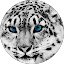 Avery Campbell Avatar
