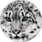 Avery Campbell Avatar